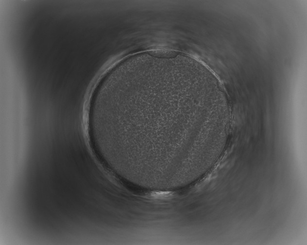 X0000101990055200808011109