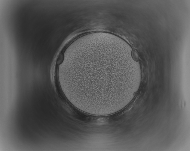 X0000101990056200808011109