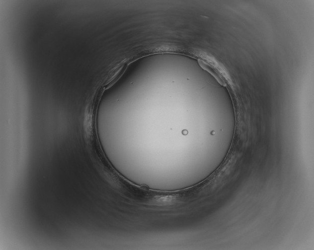 X0000101990057200808011109