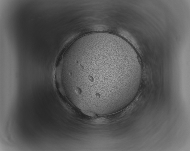 X0000101990058200808011109