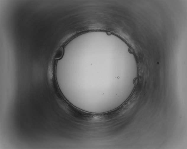 X0000101990060200808011109