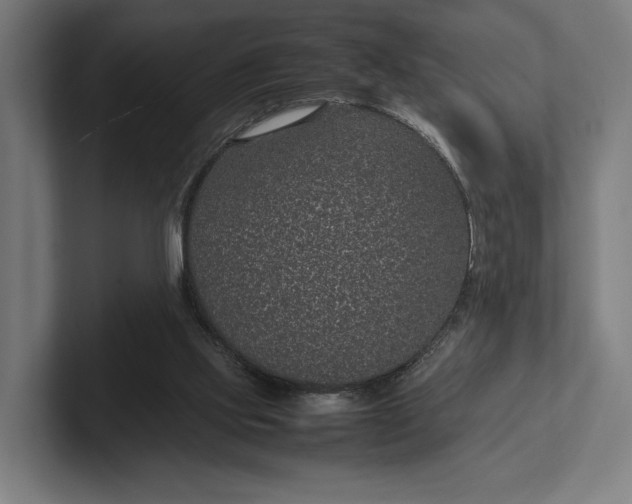 X0000101990061200808011109