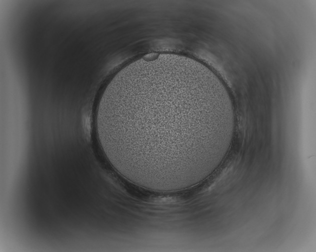 X0000101990063200808011109