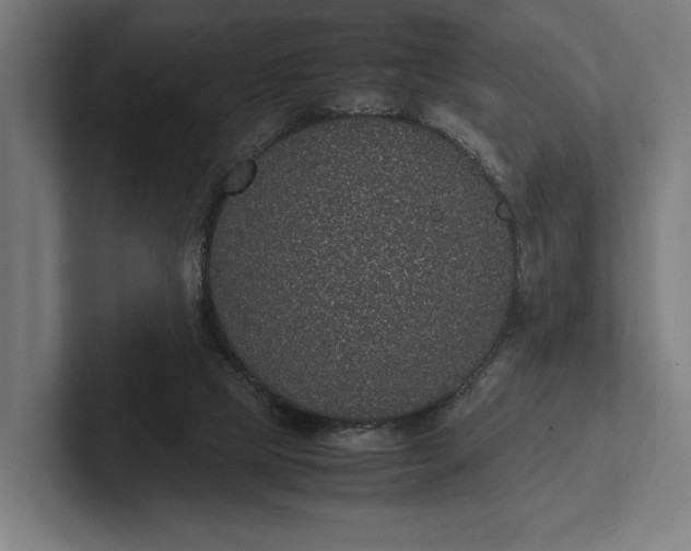 X0000101990065200808011109