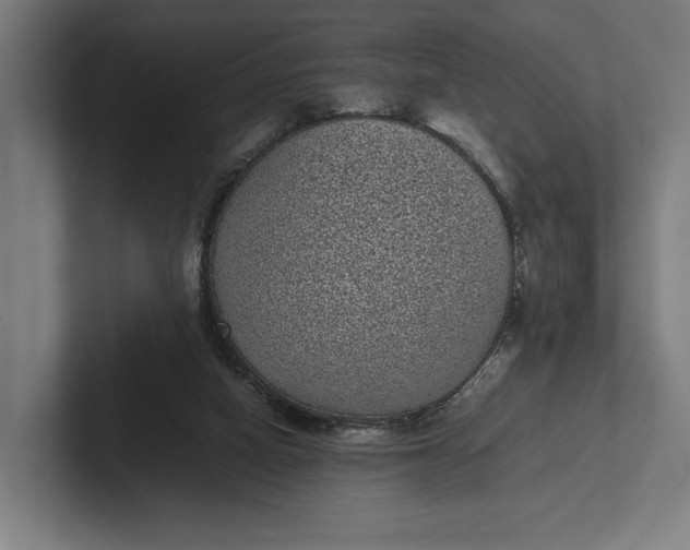 X0000101990066200808011109