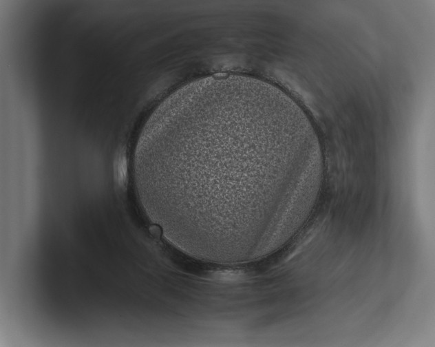 X0000101990067200808011109