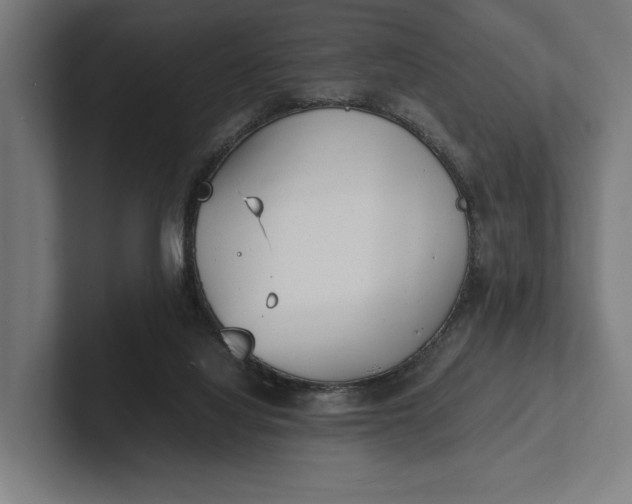 X0000101990068200808011109