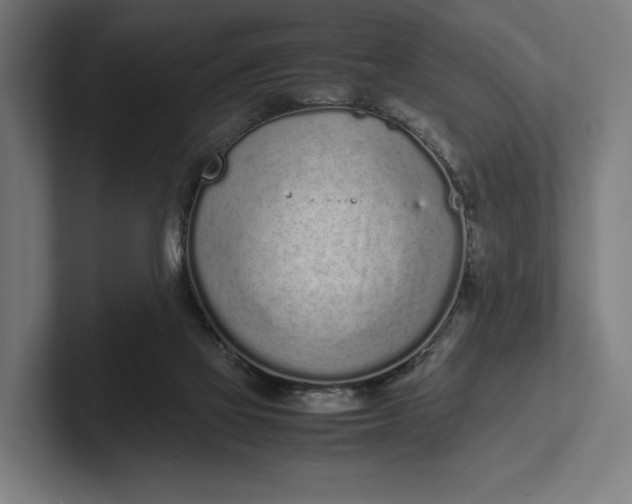 X0000101990069200808011109