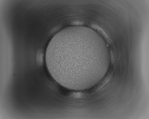 X0000101990071200808011109