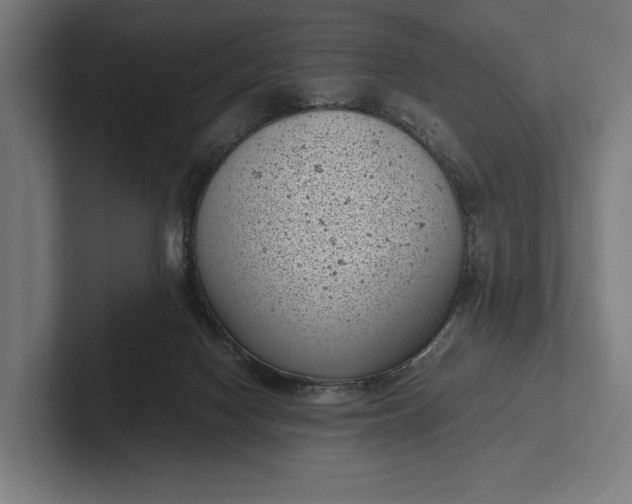 X0000101990074200808011110