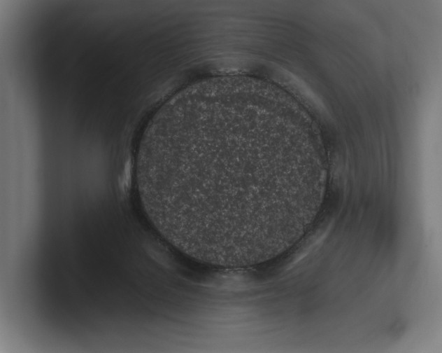 X0000101990076200808011110