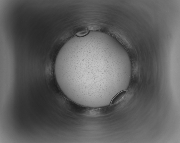 X0000101990078200808011110