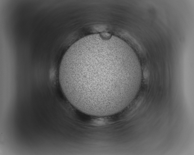 X0000101990079200808011110