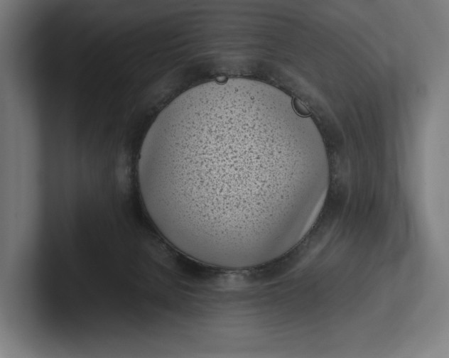 X0000101990080200808011110