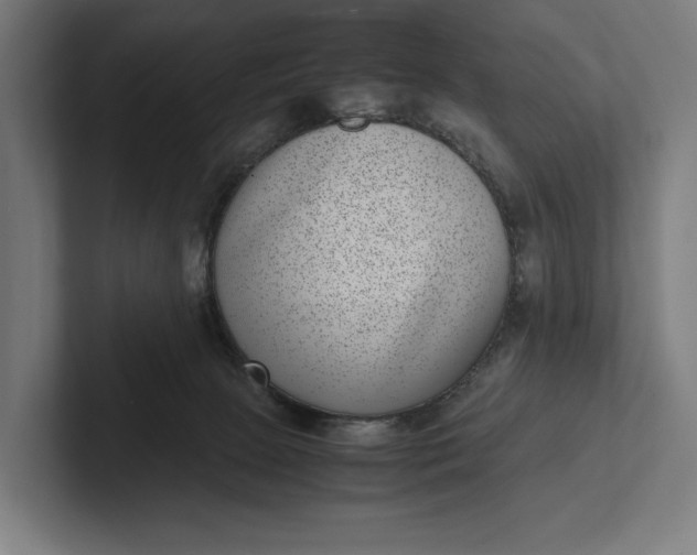 X0000101990081200808011110