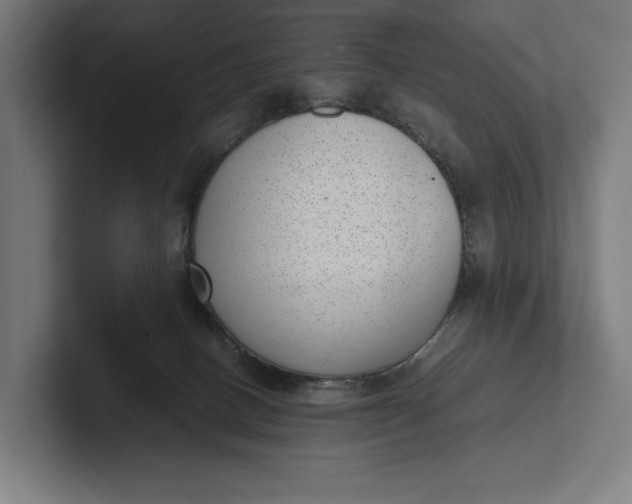 X0000101990082200808011110