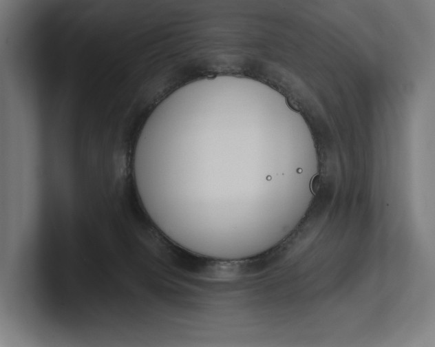 X0000101990084200808011110