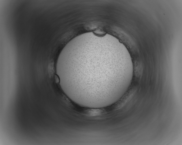 X0000101990085200808011110