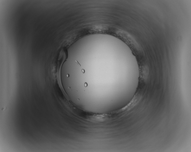 X0000101990086200808011110