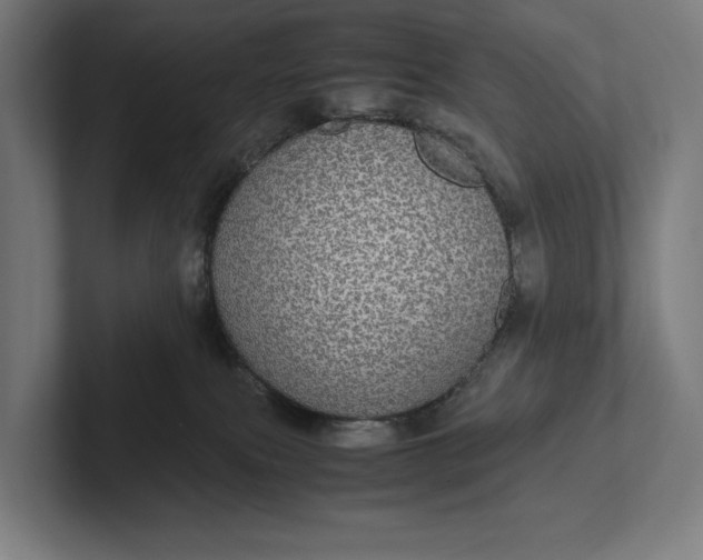 X0000101990087200808011110