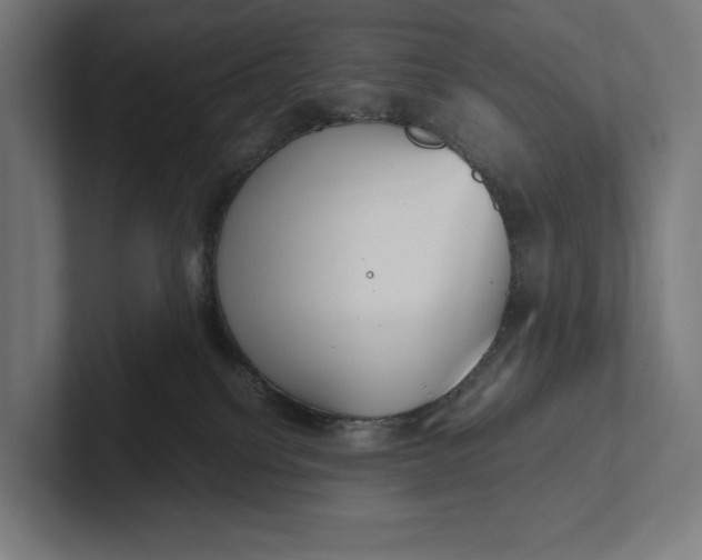 X0000101990088200808011110