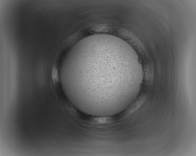 X0000101990089200808011110