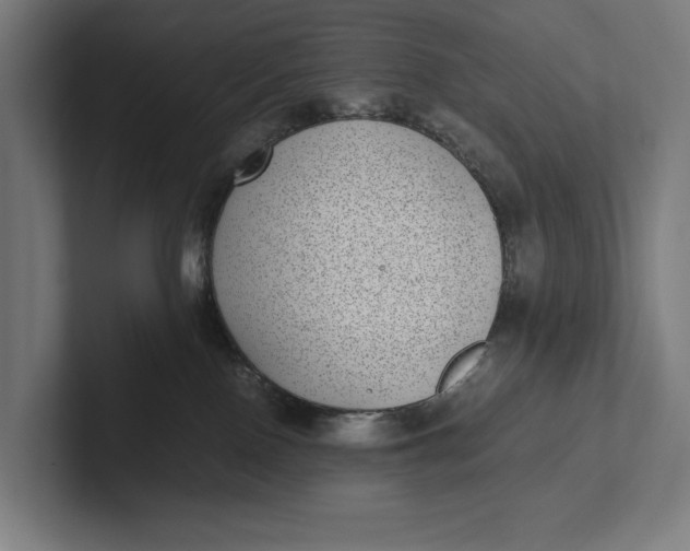 X0000101990090200808011110