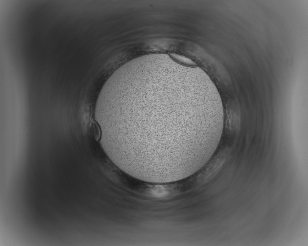 X0000101990091200808011110