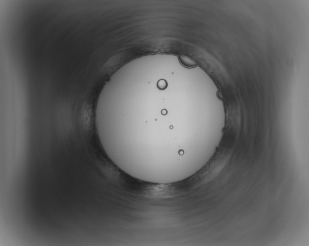 X0000101990092200808011110