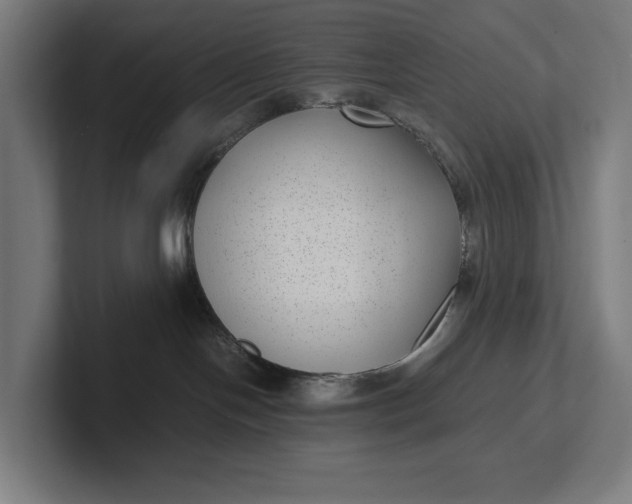 X0000101990094200808011110