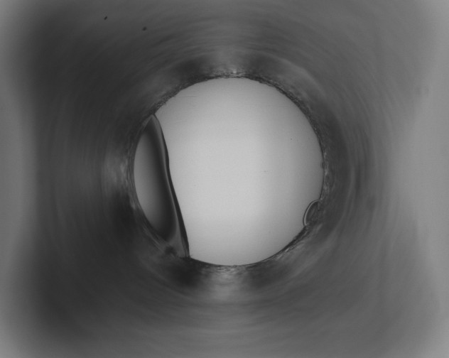 X0000101990096200808011110