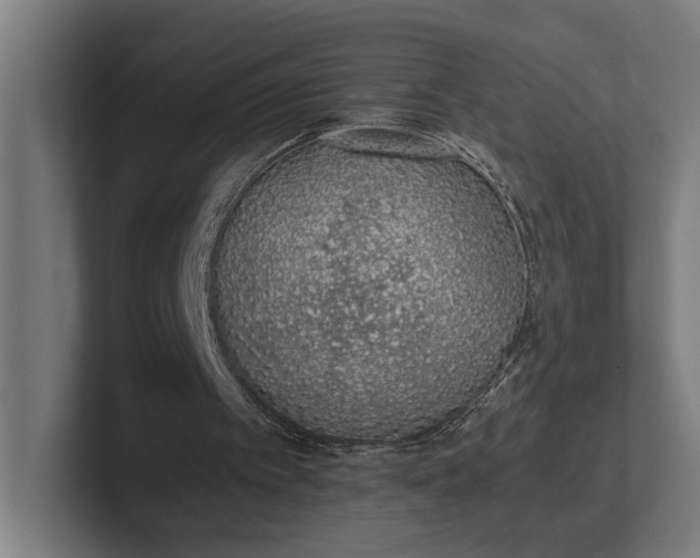 X0000101990097200808011109