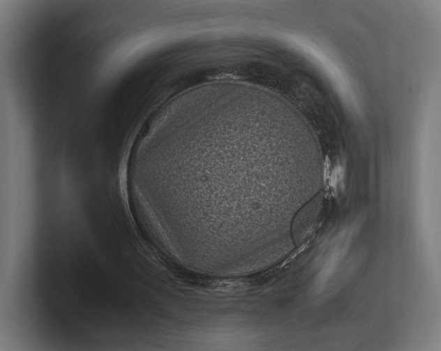 X0000101990099200808011109