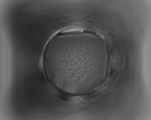 X0000101990100200808011109