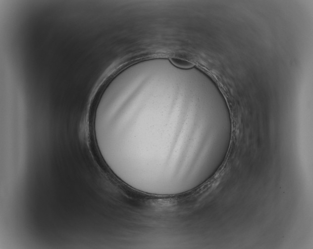 X0000101990102200808011109