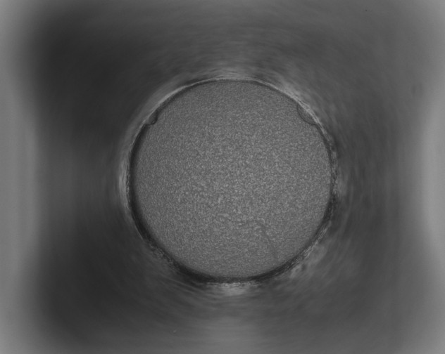 X0000101990103200808011109