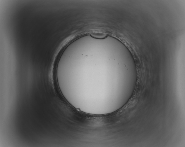 X0000101990104200808011109