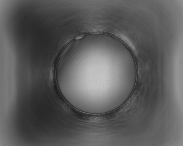 X0000101990105200808011109