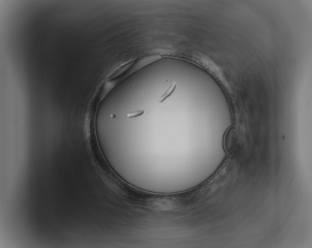 X0000101990106200808011109