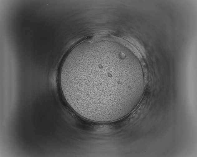 X0000101990107200808011109