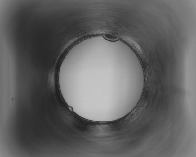 X0000101990108200808011109