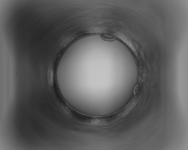 X0000101990109200808011109