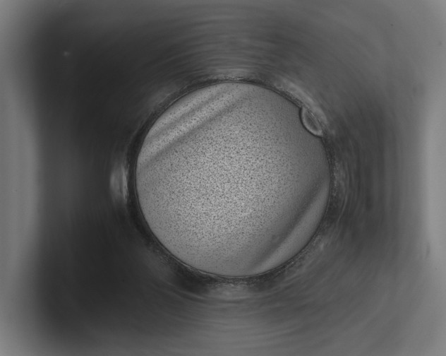 X0000101990110200808011109