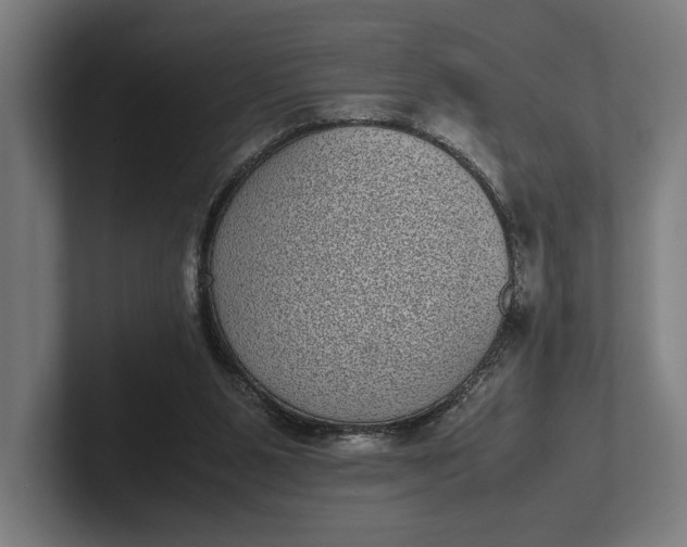 X0000101990111200808011109