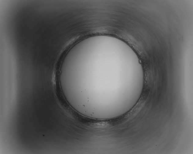 X0000101990112200808011109