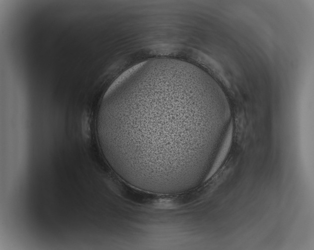 X0000101990114200808011109