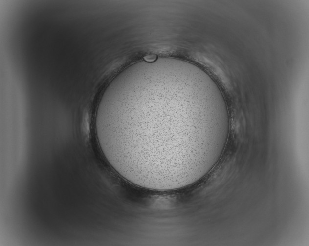 X0000101990115200808011109