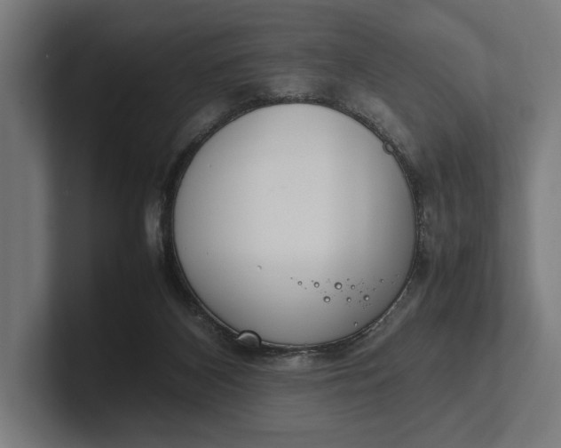 X0000101990116200808011109