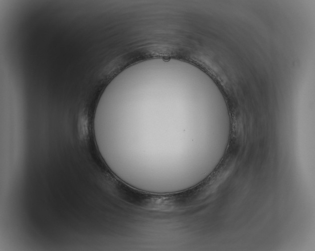 X0000101990117200808011109