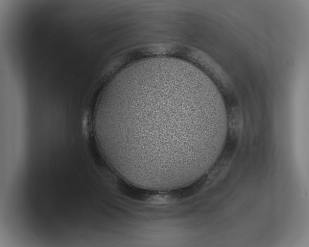 X0000101990119200808011109